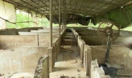 成都养猪场爆料案件最新,揭开养殖行业黑幕背后的惊人真相